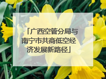 广西空管分局与南宁市共商低空经济发展新路径