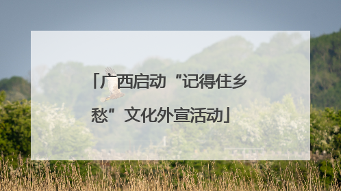 广西启动“记得住乡愁”文化外宣活动