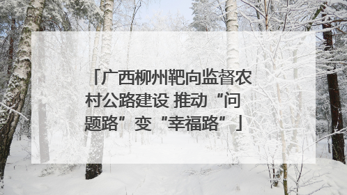 广西柳州靶向监督农村公路建设 推动“问题路”变“幸福路”