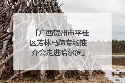 广西贺州市平桂区芳林马蹄专场推介会走进哈尔滨