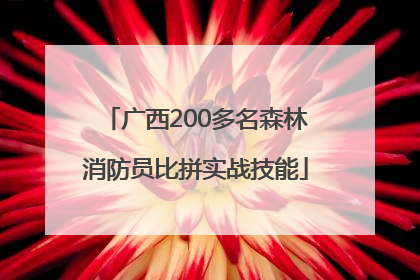 广西200多名森林消防员比拼实战技能