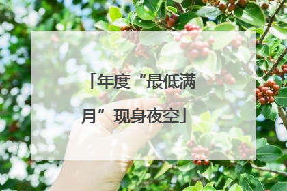 年度“最低满月”现身夜空