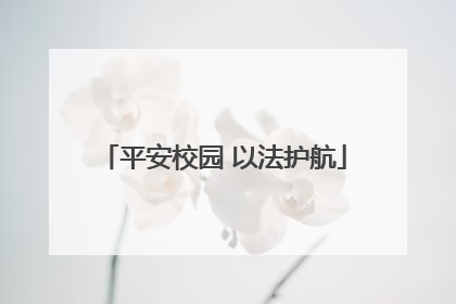 平安校园 以法护航