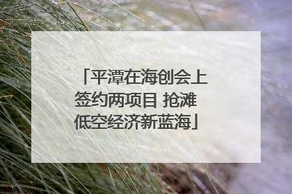 平潭在海创会上签约两项目 抢滩低空经济新蓝海