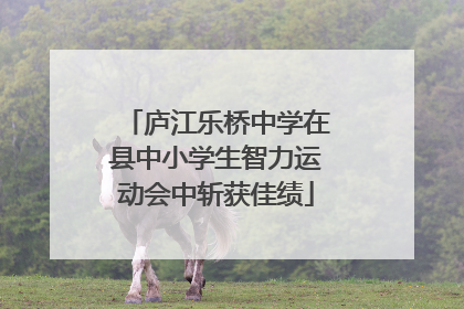 庐江乐桥中学在县中小学生智力运动会中斩获佳绩
