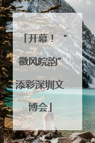 开幕！“徽风皖韵”添彩深圳文博会