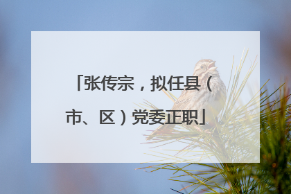 张传宗，拟任县（市、区）党委正职