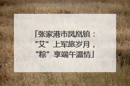 张家港市凤凰镇：“艾”上军旅岁月，“粽”享端午温情
