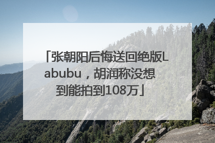 张朝阳后悔送回绝版Labubu，胡润称没想到能拍到108万