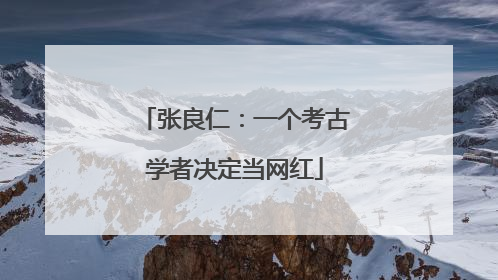 张良仁：一个考古学者决定当网红