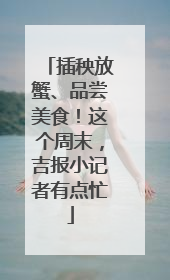 插秧放蟹、品尝美食！这个周末，吉报小记者有点忙