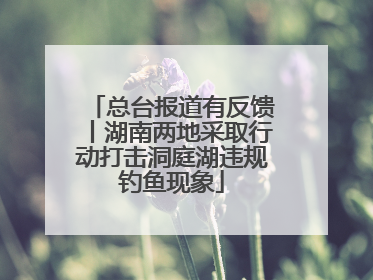 总台报道有反馈丨湖南两地采取行动打击洞庭湖违规钓鱼现象