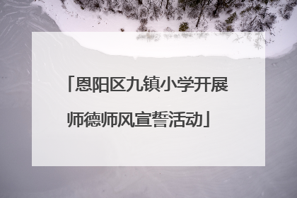 恩阳区九镇小学开展师德师风宣誓活动