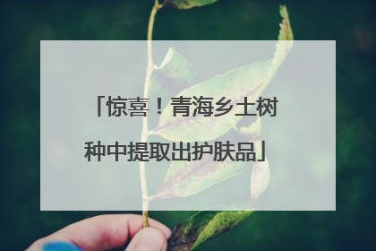 惊喜！青海乡土树种中提取出护肤品