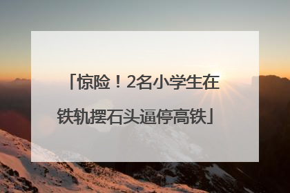 惊险！2名小学生在铁轨摆石头逼停高铁