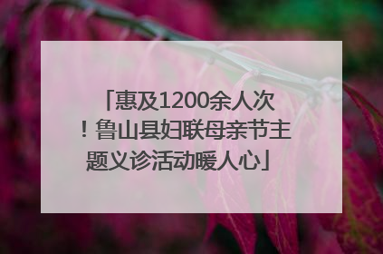 惠及1200余人次！鲁山县妇联母亲节主题义诊活动暖人心