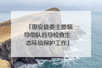 惠安县委主要领导带队督导检查生态环境保护工作
