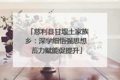 慈利县甘堰土家族乡：深学细悟强思想 蓄力赋能促提升