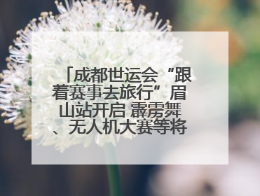 成都世运会“跟着赛事去旅行”眉山站开启 霹雳舞、无人机大赛等将一一登场