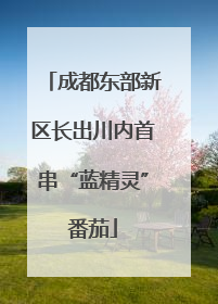 成都东部新区长出川内首串“蓝精灵”番茄