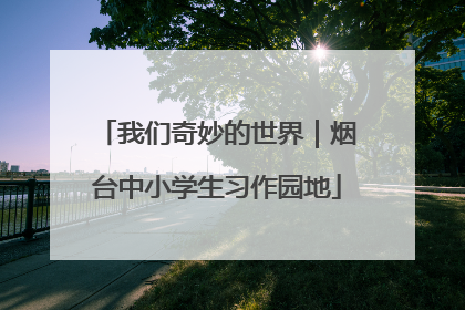 我们奇妙的世界｜烟台中小学生习作园地
