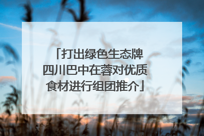 打出绿色生态牌 四川巴中在蓉对优质食材进行组团推介