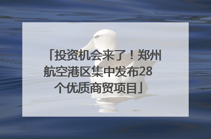 投资机会来了！郑州航空港区集中发布28个优质商贸项目