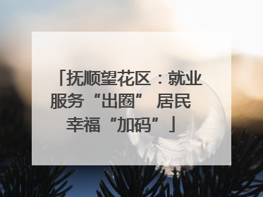 抚顺望花区：就业服务“出圈” 居民幸福“加码”