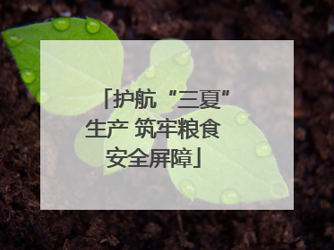 护航“三夏”生产 筑牢粮食安全屏障