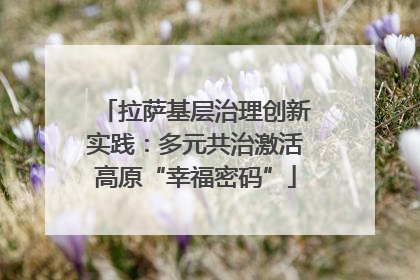 拉萨基层治理创新实践：多元共治激活高原“幸福密码”