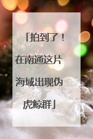 拍到了！在南通这片海域出现伪虎鲸群