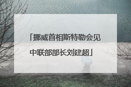 挪威首相斯特勒会见中联部部长刘建超