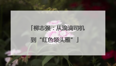 柳志强：从滴滴司机到“红色领头雁”