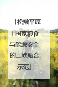松嫩平原上国家粮食与能源安全的三峡融合示范