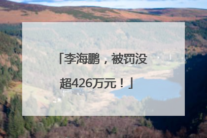 李海鹏，被罚没超426万元！