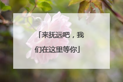 来抚远吧，我们在这里等你