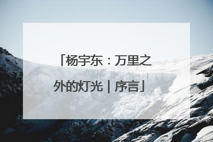 杨宇东：万里之外的灯光｜序言