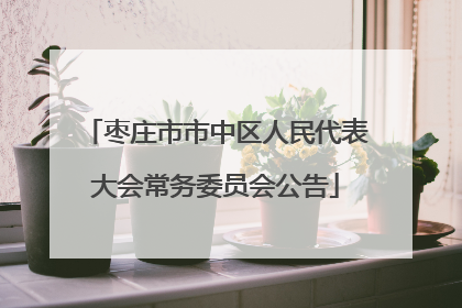 枣庄市市中区人民代表大会常务委员会公告