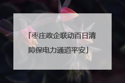 枣庄政企联动百日清障保电力通道平安