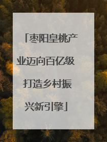 枣阳皇桃产业迈向百亿级 打造乡村振兴新引擎