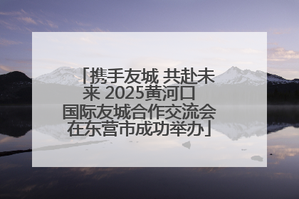携手友城 共赴未来 2025黄河口国际友城合作交流会在东营市成功举办