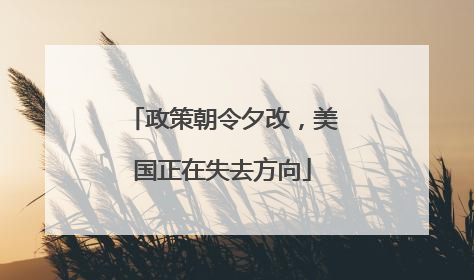 政策朝令夕改，美国正在失去方向