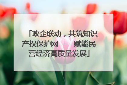 政企联动，共筑知识产权保护网——赋能民营经济高质量发展