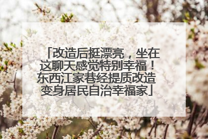 改造后挺漂亮，坐在这聊天感觉特别幸福！东西江家巷经提质改造变身居民自治幸福家