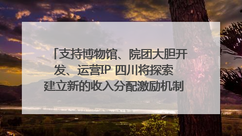支持博物馆、院团大胆开发、运营IP 四川将探索建立新的收入分配激励机制｜新闻发布最前线