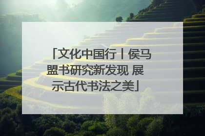 文化中国行丨侯马盟书研究新发现 展示古代书法之美