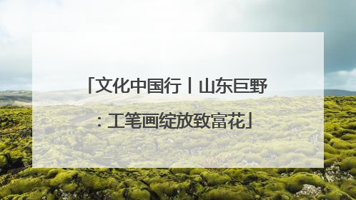文化中国行丨山东巨野：工笔画绽放致富花