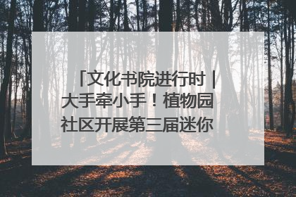 文化书院进行时｜大手牵小手！植物园社区开展第三届迷你马拉松活动
