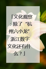 文化观察：除了“杭州六小龙” 浙江数字文化还有什么？