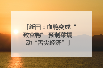新田：血鸭变成“致富鸭” 预制菜撬动“舌尖经济”